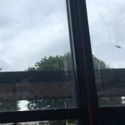 yamakimori_shurushuru