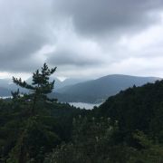 yamakimori_yamakimori